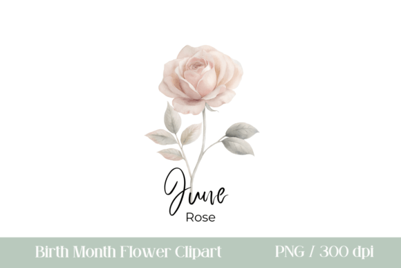 Download Birth Month Flower Clipart PNG Rose - Month flower Collection
