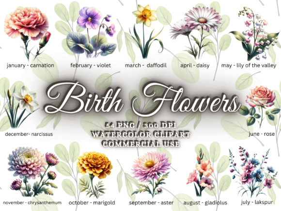 Download Birth Month Flower Clipart - Flower Png - Month flower Collection