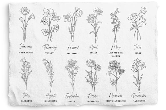 Download Birth Month Flower SVG and PNG Bundle - Month flower Collection