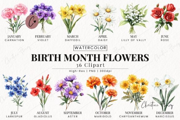 Download Birth Month Flower Clipart Bundle - Month flower Collection