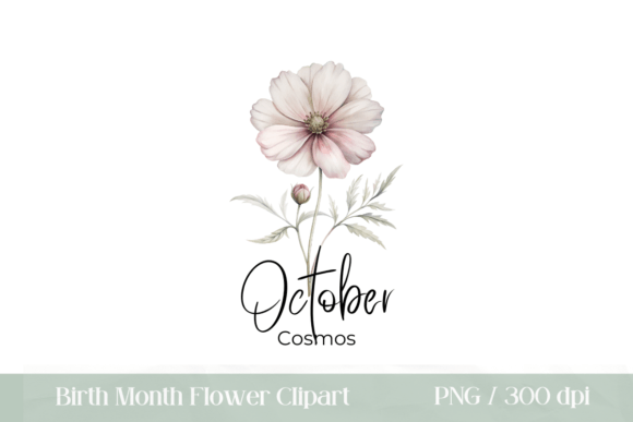 Download Birth Month Flower October Cosmos PNG - Month flower Collection