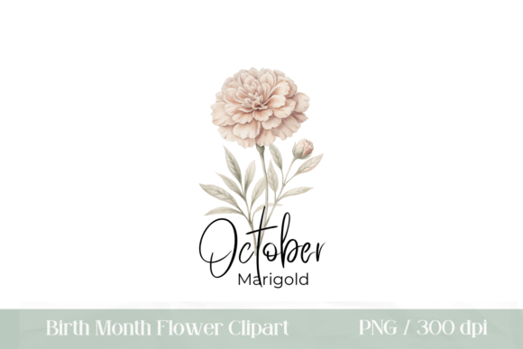 Download Birth Month Flower Marigold PNG - Month flower Collection