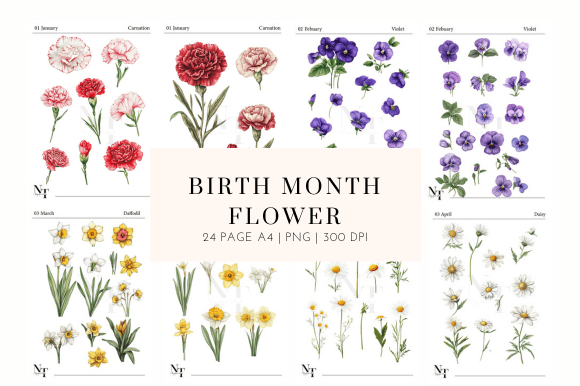 Download Birth Month Flower Clipart PNG - Month flower Collection