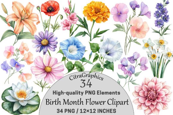 Download Watercolor Birth Month Flower Clipart - Month flower Collection